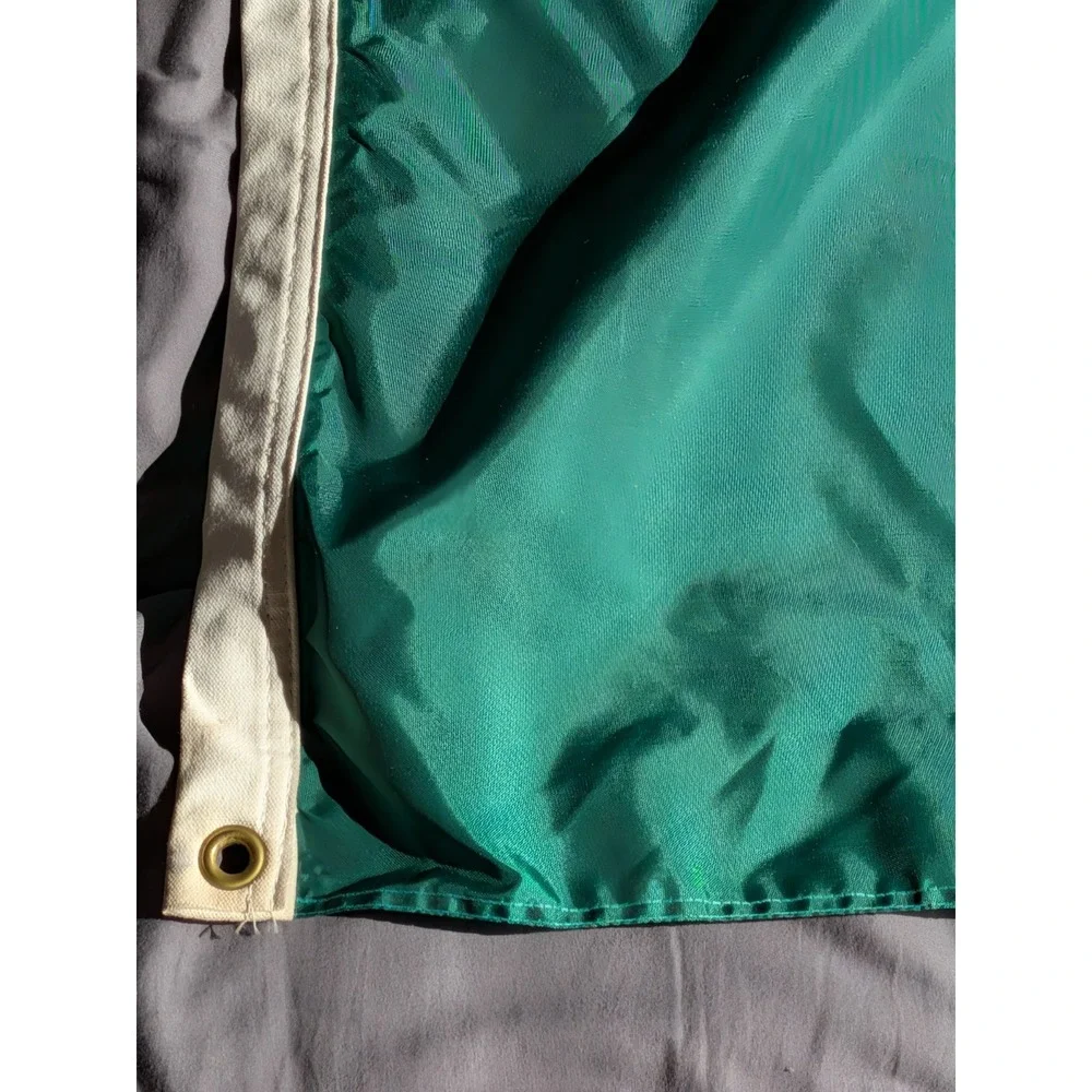 Vintage Michigan State MSU Spartans‎ Green 